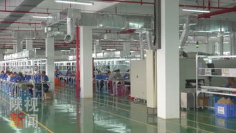 數(shù)字賦能，精準(zhǔn)破局 安康運(yùn)用大數(shù)據(jù)互聯(lián)網(wǎng)為貧困戶打通脫貧新路徑