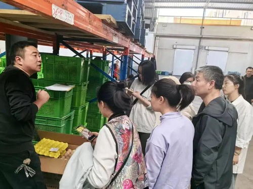 上海學(xué)生午餐蝦仁炒蛋引食品安全風波，監(jiān)管部門介入調(diào)查